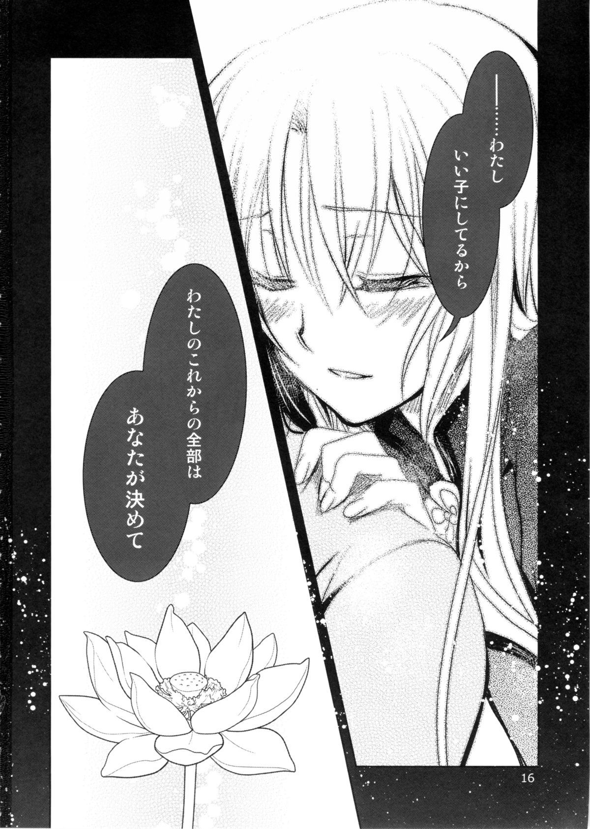 PLUMATION 20151004 PLUMATION 20151004