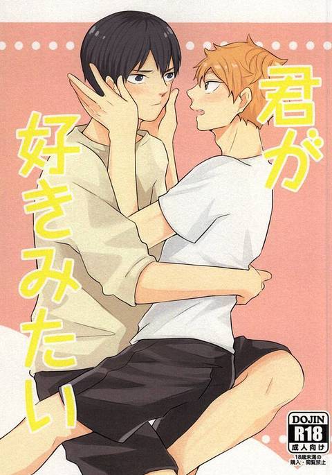 君が好きみたい 君が好きみたい