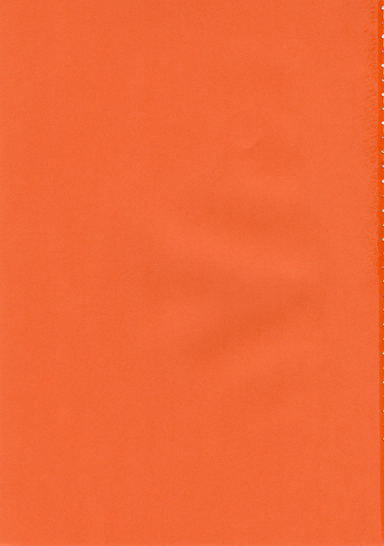 魔法先生ネギま！