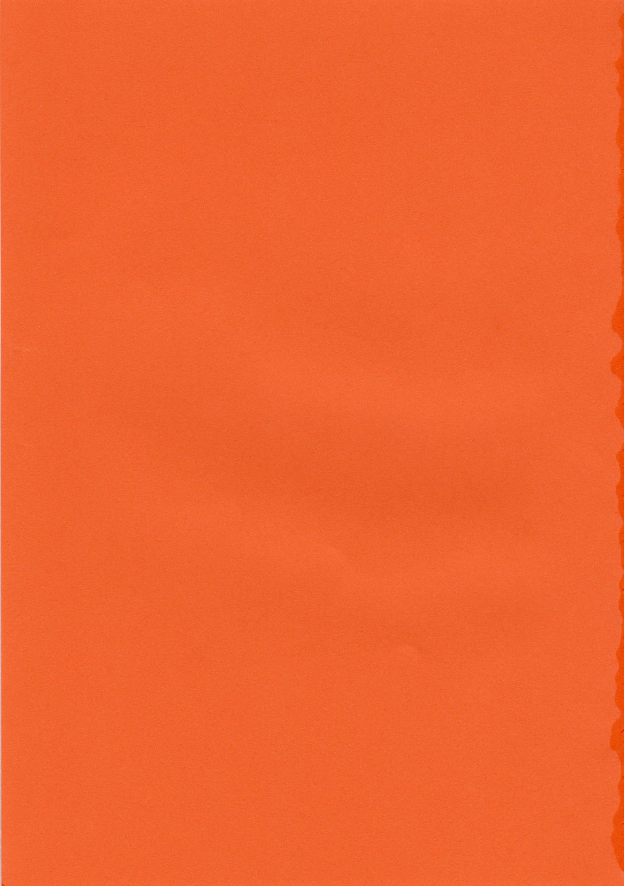 魔法先生ネギま！