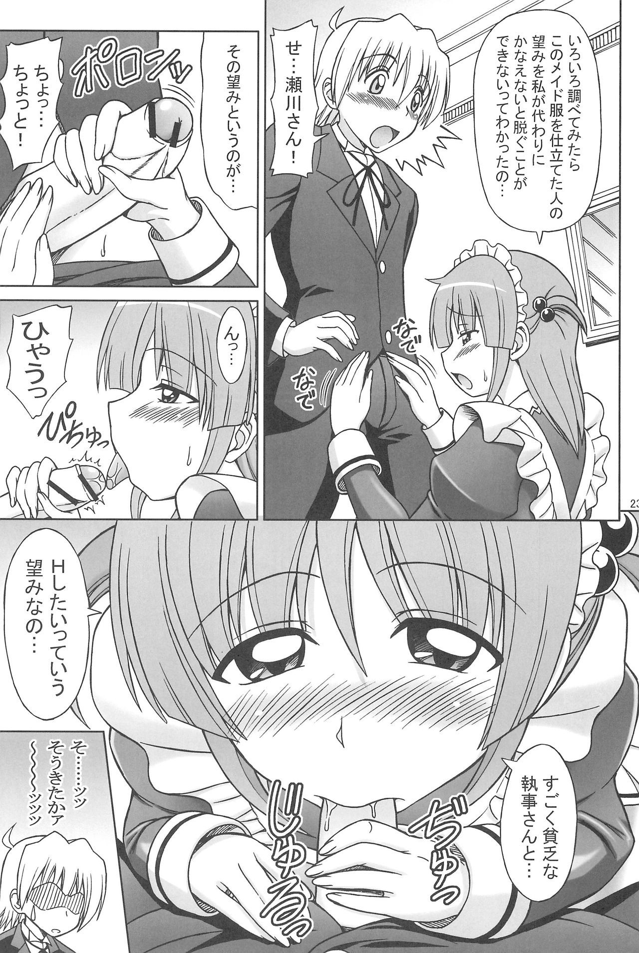 ひなと泉のしゃくねつストロガノフ