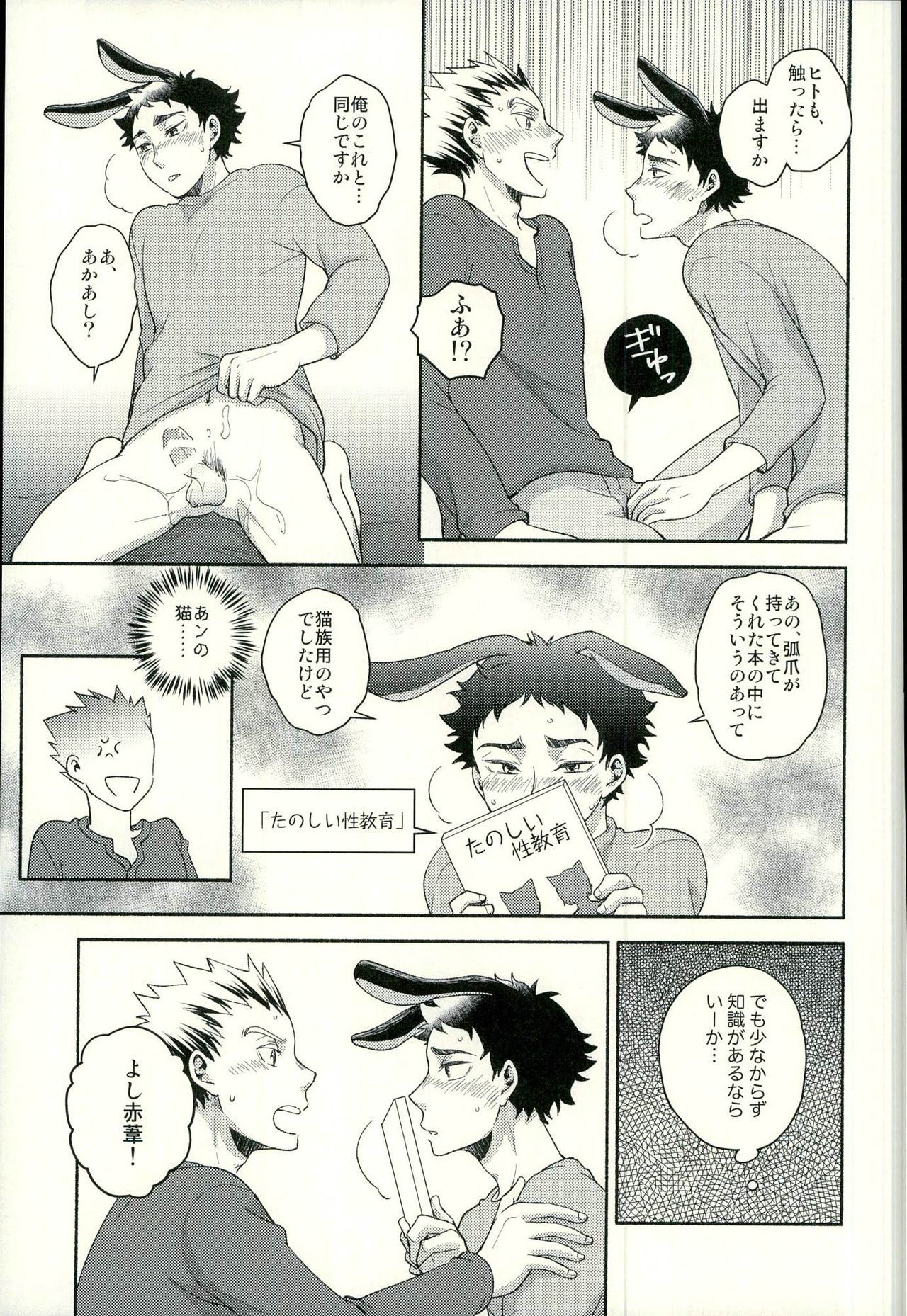 咲きほこるきせつ