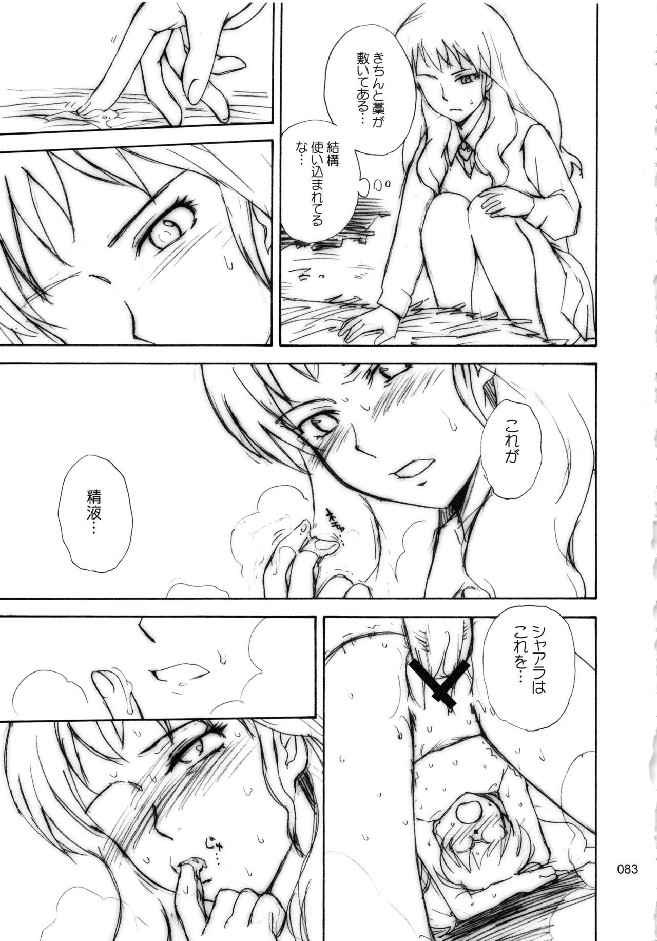 ムーンルーラークロニクル.2