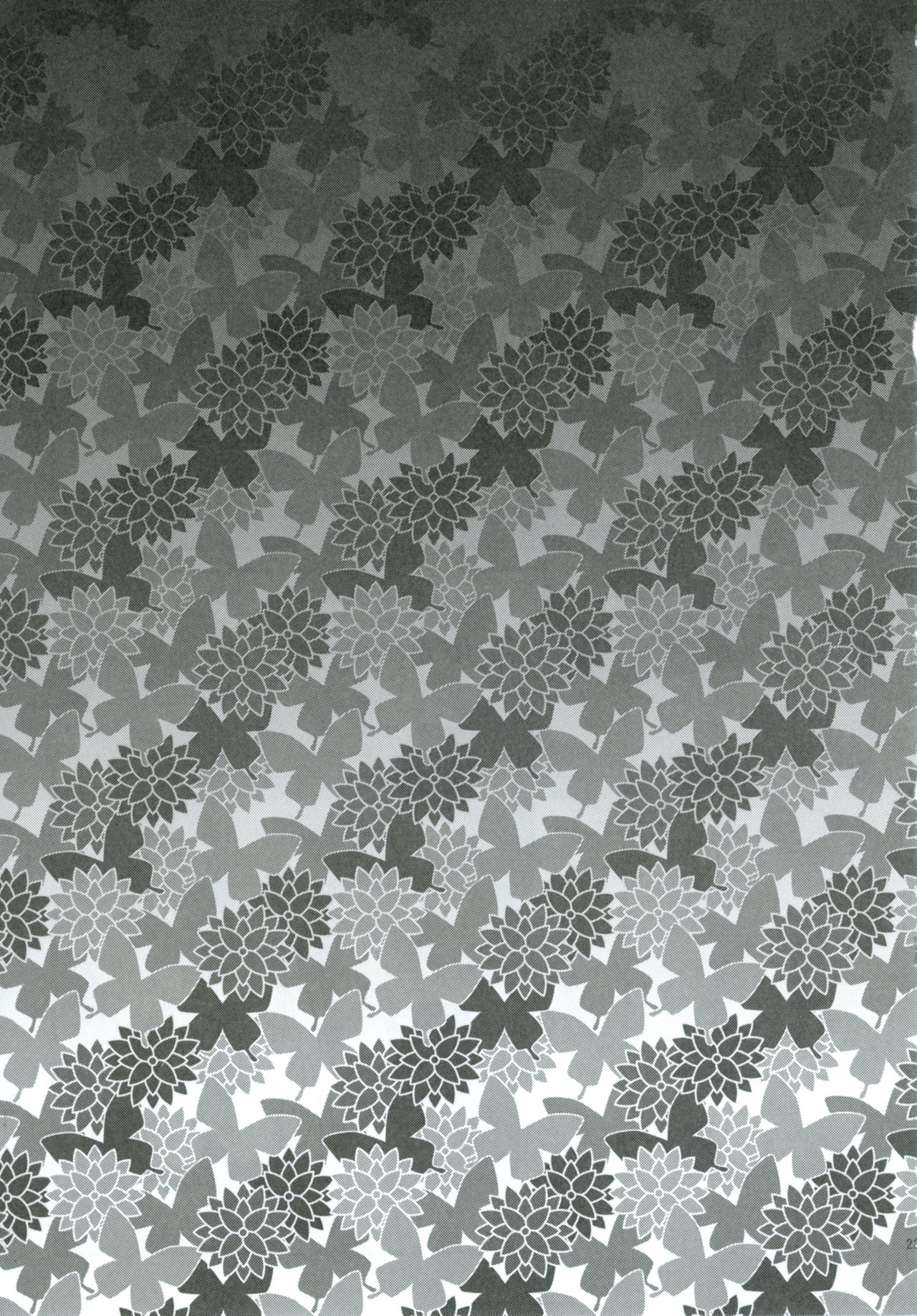 ピルカルアンペ