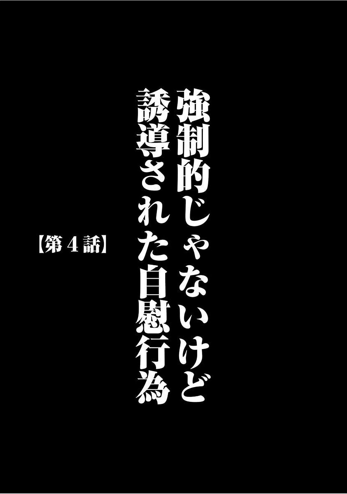 ヴァージントレインズ【かんぜんばん】