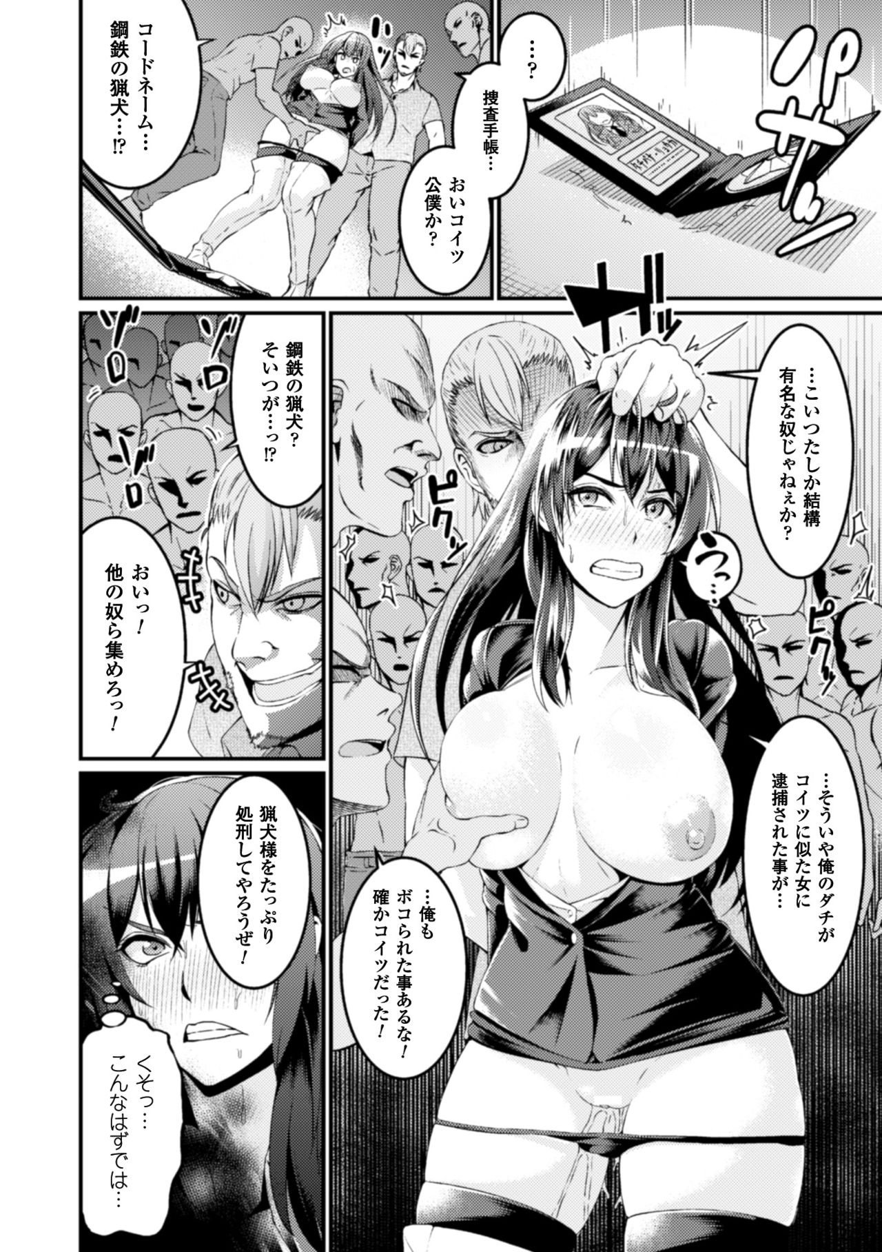 聖霊のヒロイン関国ファイルVol。 10