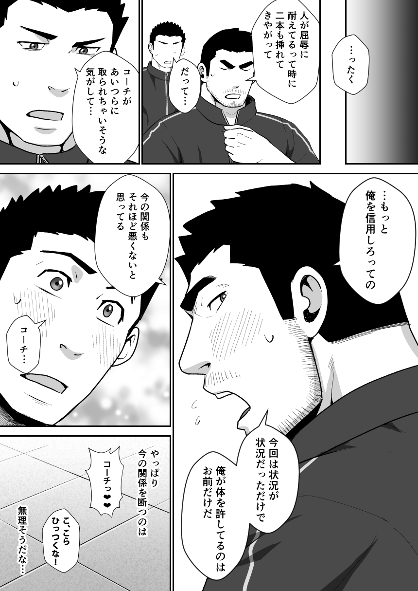 スキナンダカラ、Shou ga Nai