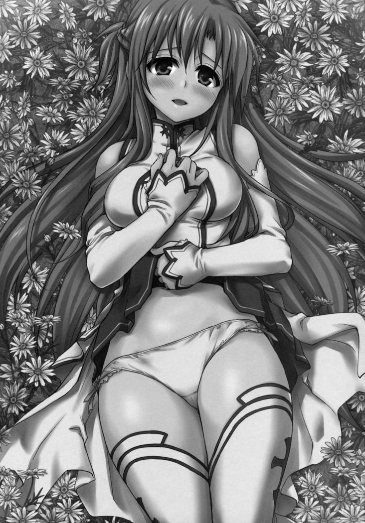 サンクチュアリ