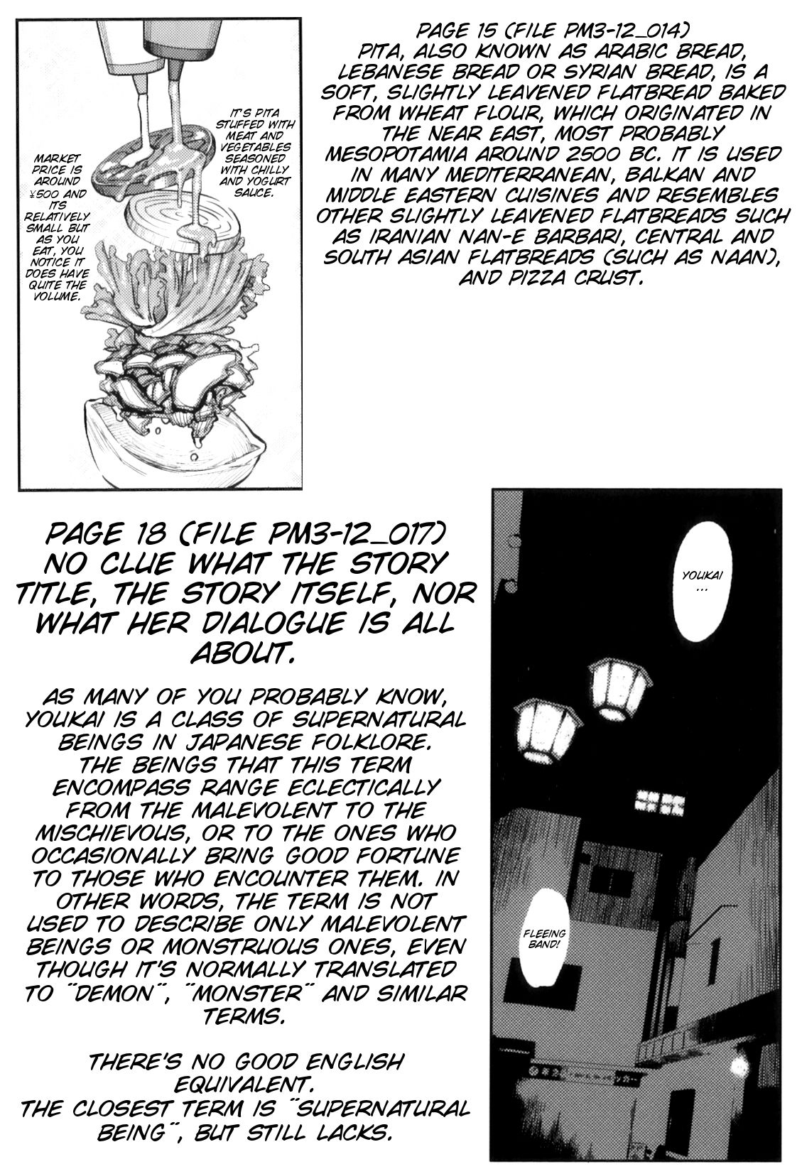 PM3：12の霊蔵子