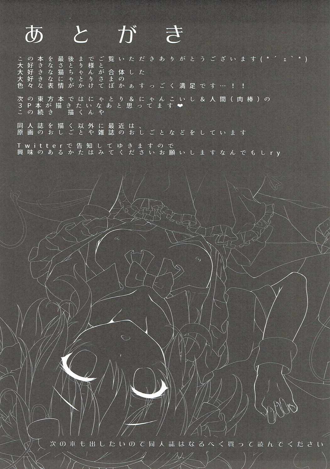 ぬきぬきニャトリン