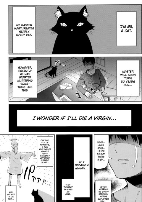 ニンゲンになったねこ|人間になった猫 ニンゲンになったねこ|人間になった猫