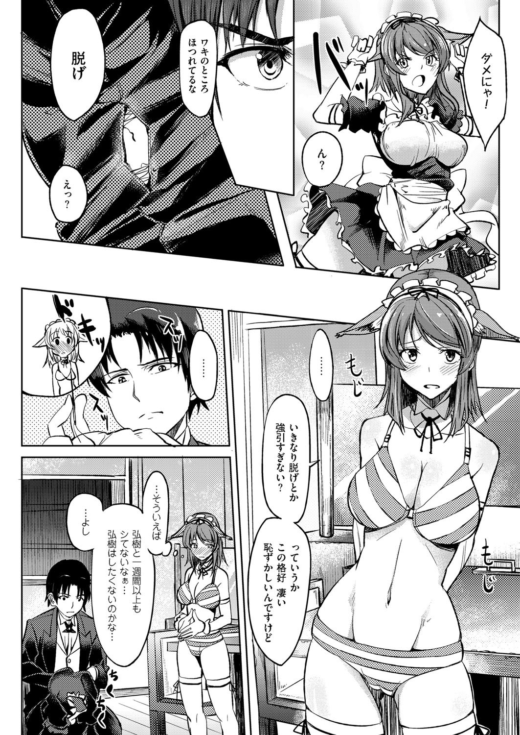 ニャンコのメイド