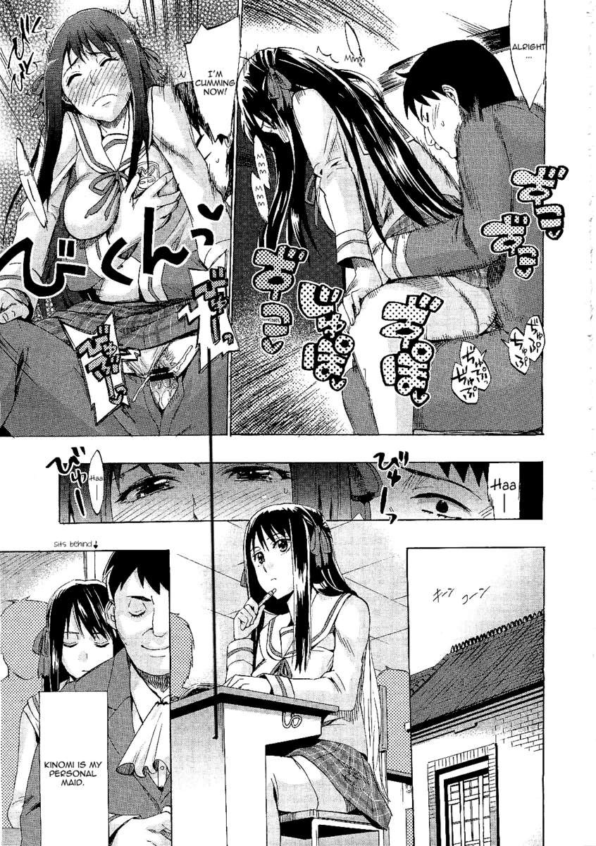 あなたはただのメイドです