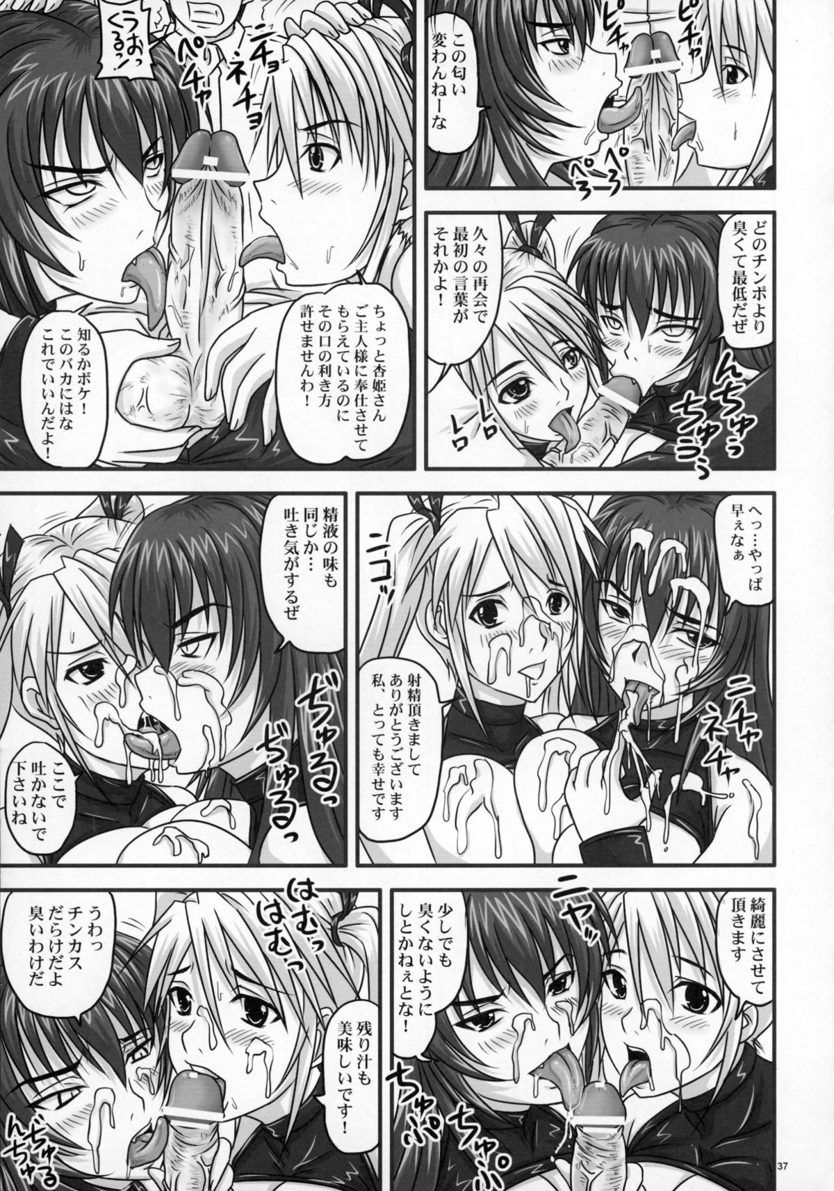 Do-S na Hime wa Kegasareru〜Joku no 2 Zecchou Jigoku〜