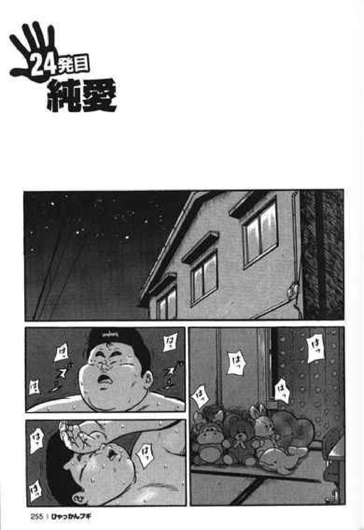 ヒャッカンブギ