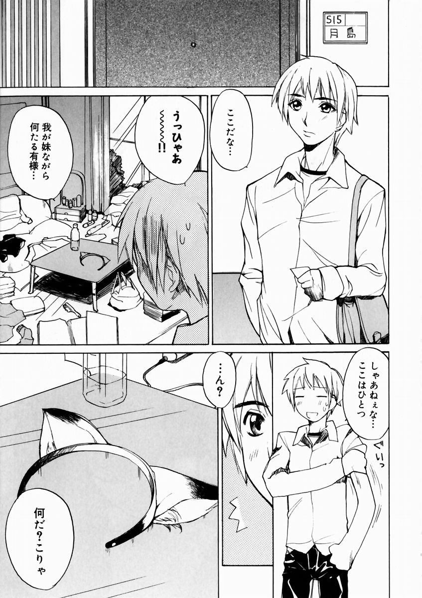 夏の雫-サマードロップ