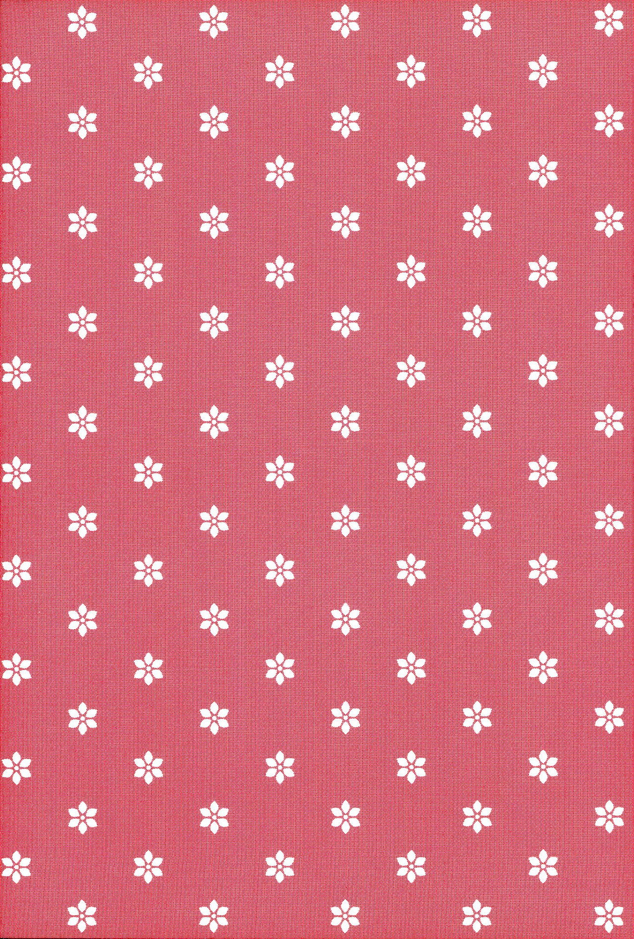 ぼくのせんせい