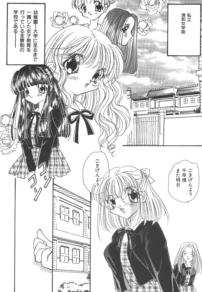 素晴らしき世界