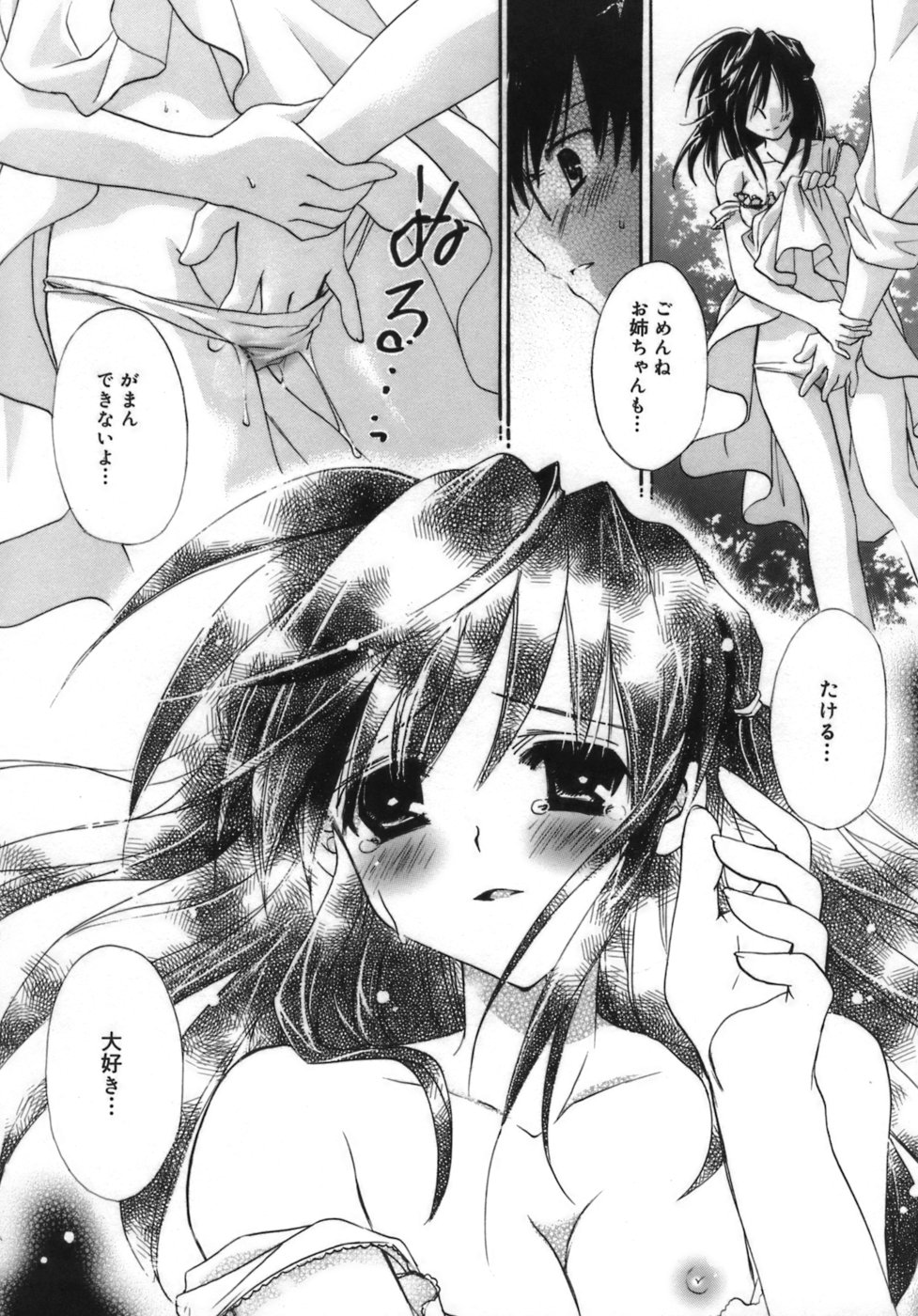 少女ゾクセイ-女の子属性