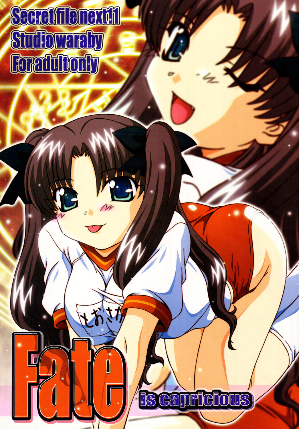 秘密のファイル次へ11-運命は気まぐれです 秘密のファイル次へ11-運命は気まぐれです