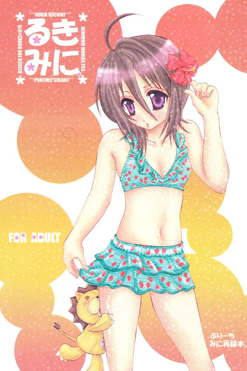 朽木ルキア最小マニアックスファイル。 朽木ルキア最小マニアックスファイル。