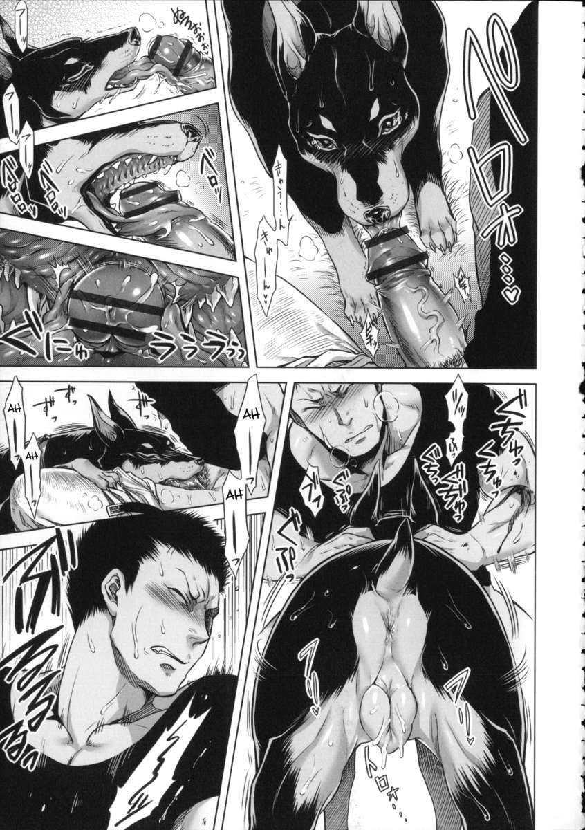 人間愛好家委員会