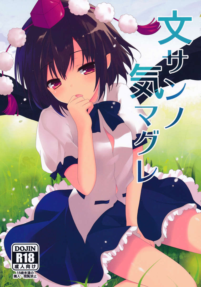 綾さんのきまぐれ 綾さんのきまぐれ