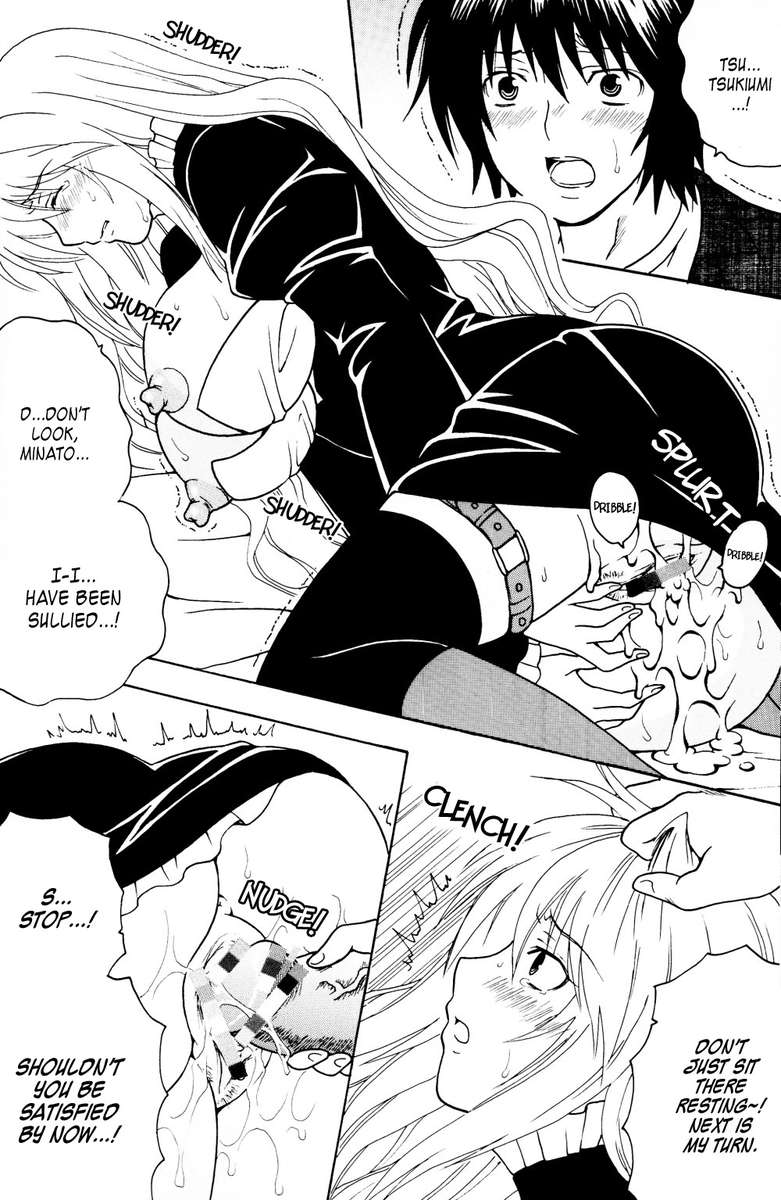 セキレイホバクケイカク1