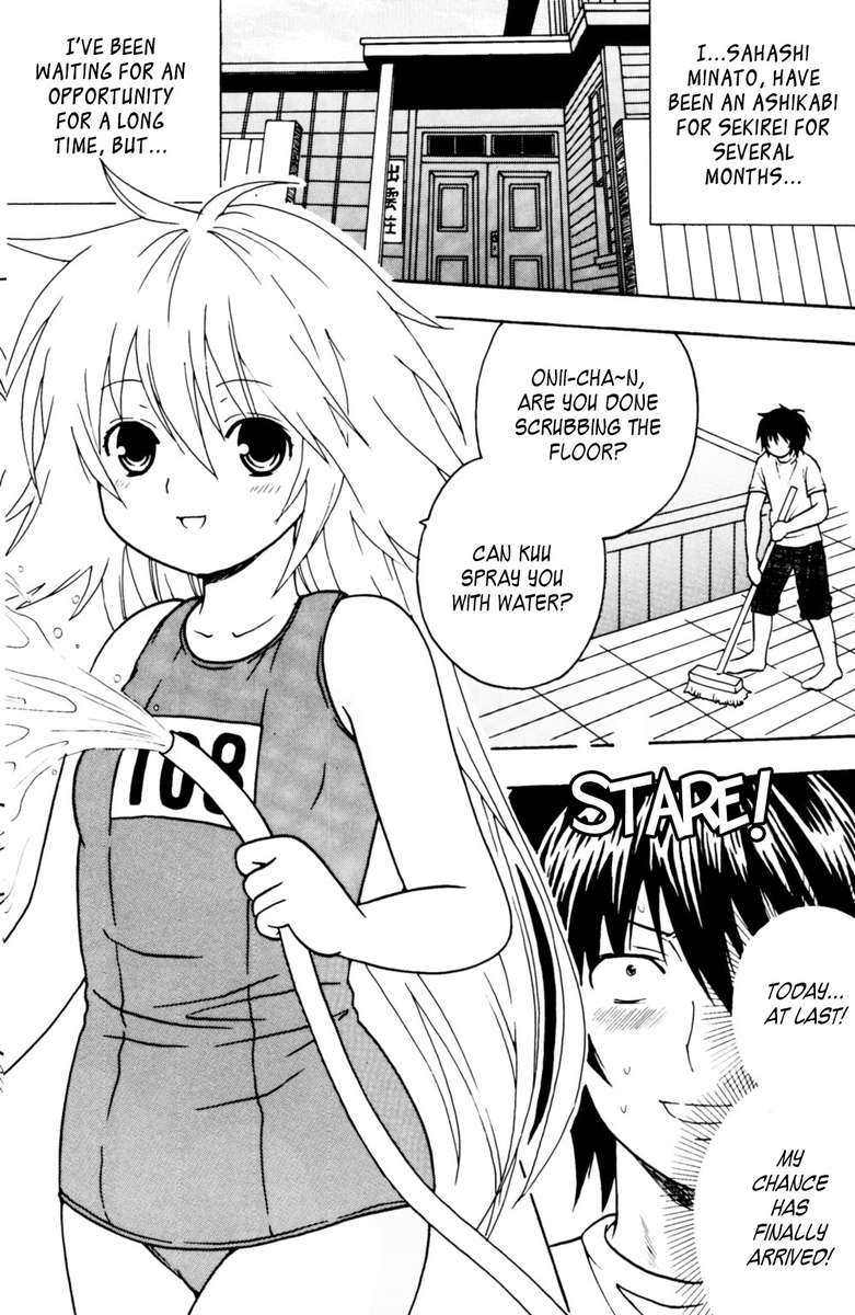 セキレイホバクケイカク1