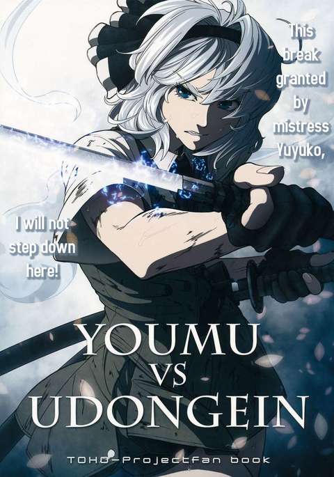 YOUMU vs UDONGEIN YOUMU vs UDONGEIN