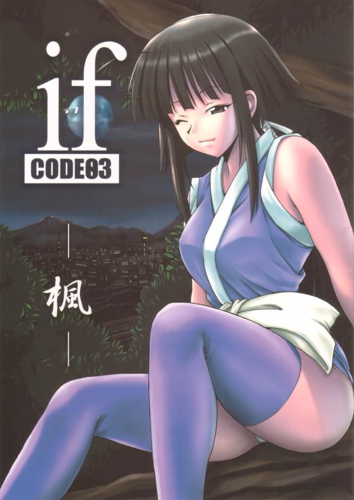 CODE03楓の場合 CODE03楓の場合