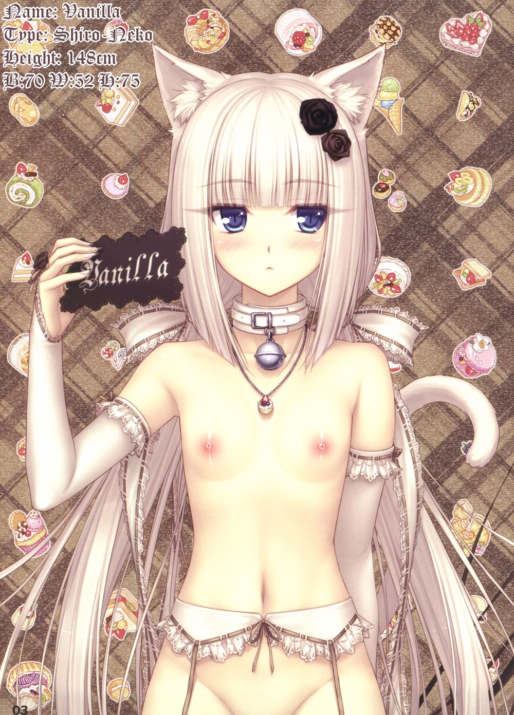 ネコパラダイスII