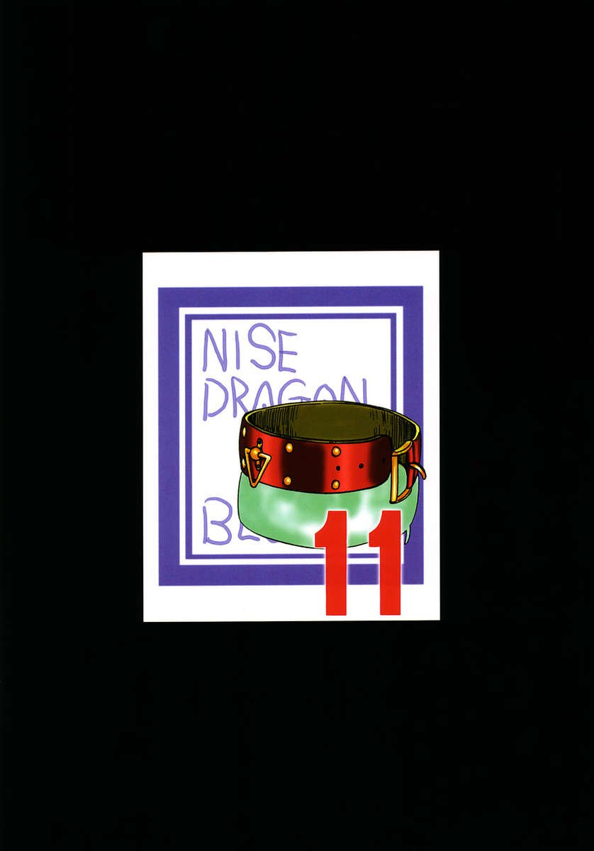 ニセドラゴンブラッド！ 11