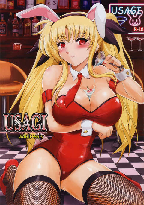 USAGI USAGI