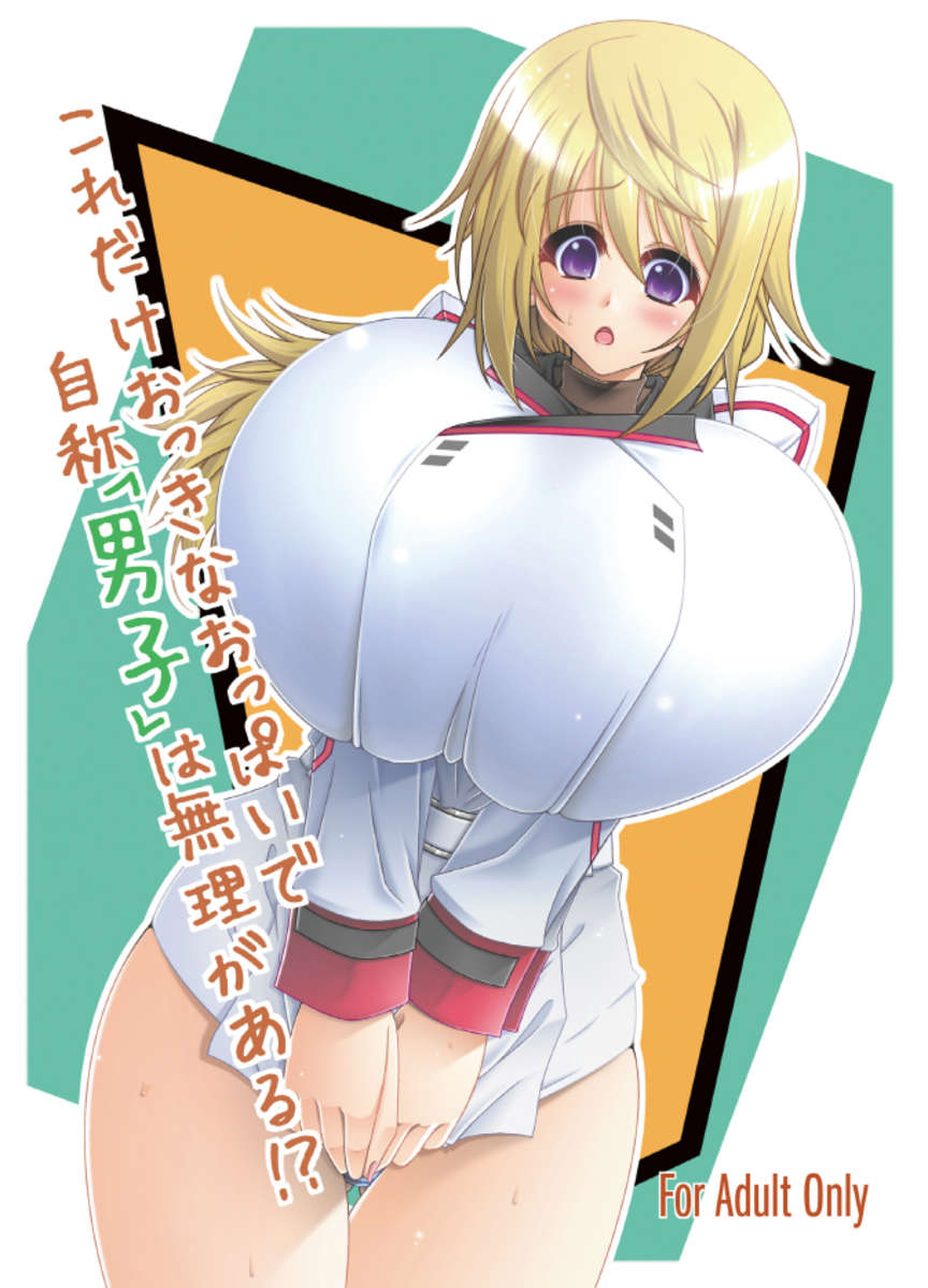 そんな巨大なおっぱいでどうやって自分を男と呼べるの!? そんな巨大なおっぱいでどうやって自分を男と呼べるの!?