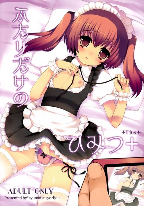 二人の秘密プラス 二人の秘密プラス