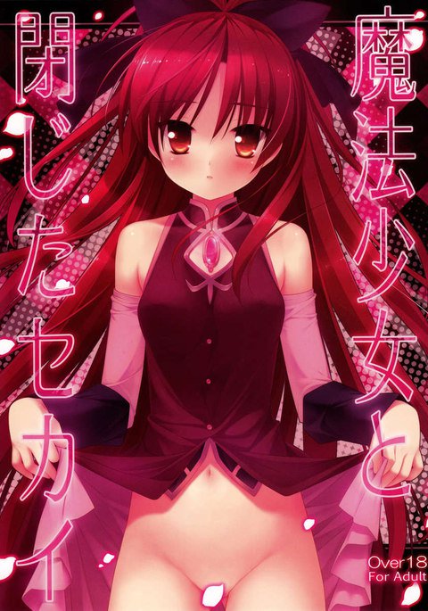 魔法少女と閉ざされた世界 魔法少女と閉ざされた世界