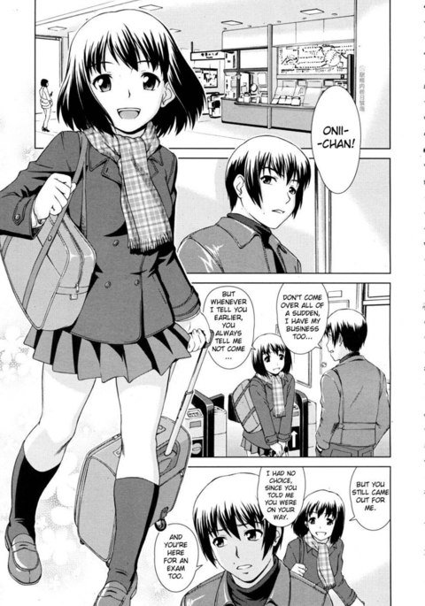 不適合パズル 不適合パズル