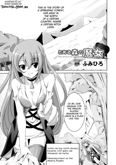 森の中の魔女 森の中の魔女