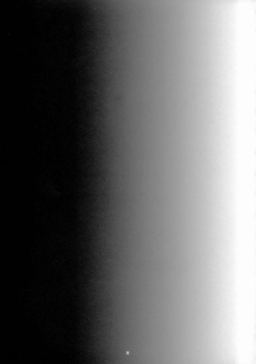 メモリーズプーション