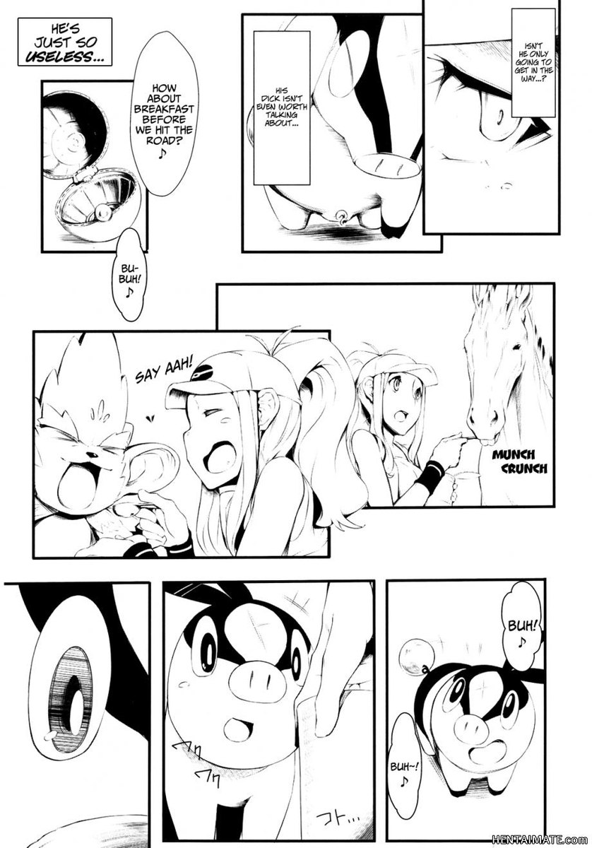 忠実なポカブ