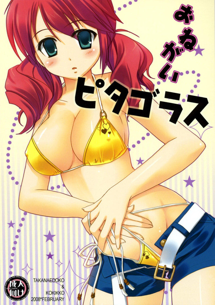 おねがいピタゴラス