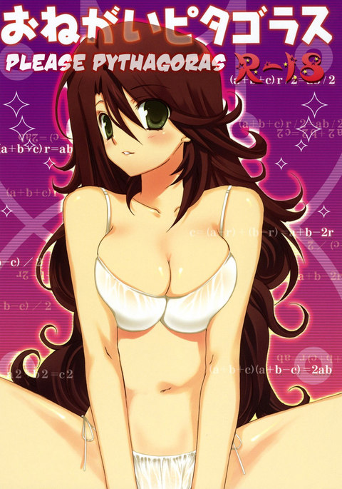 おねがいピタゴラス おねがいピタゴラス