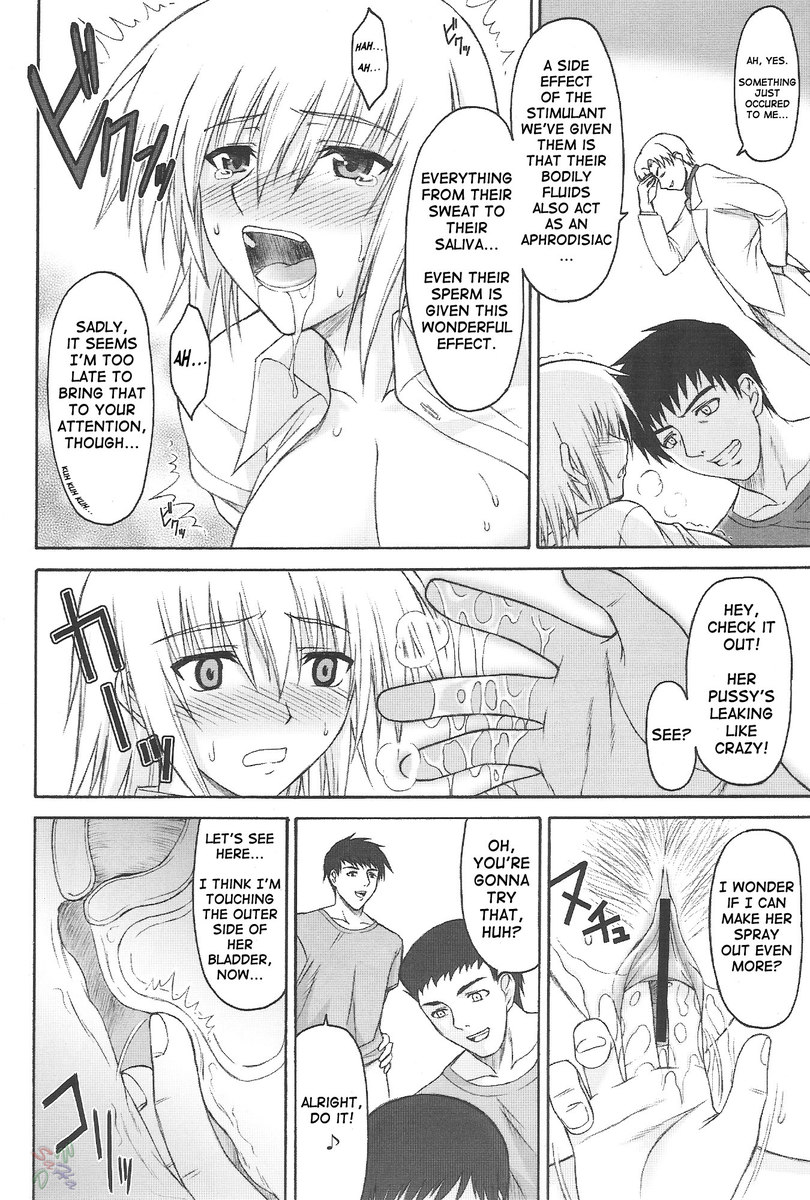 すなのたて