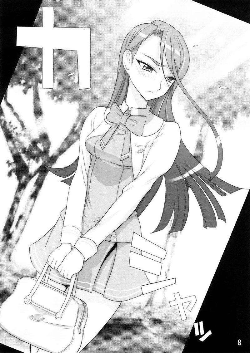 プリキュア5-カレン100式 プリキュア5-カレン100式