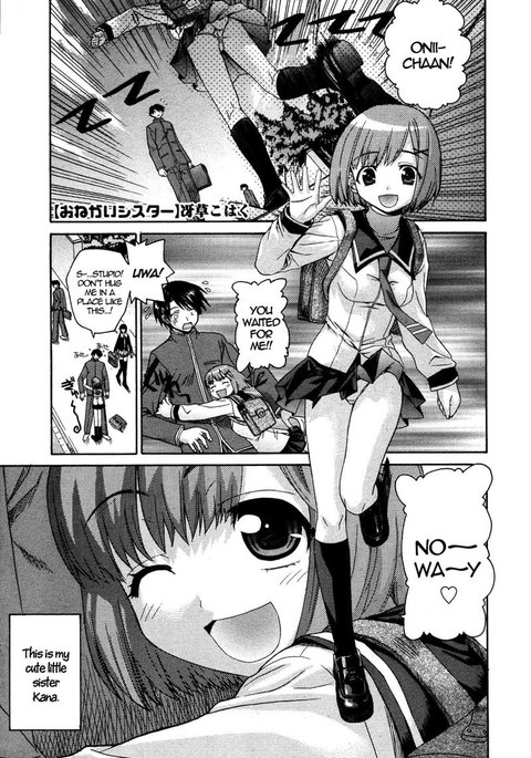 おねがいシスター1 おねがいシスター1