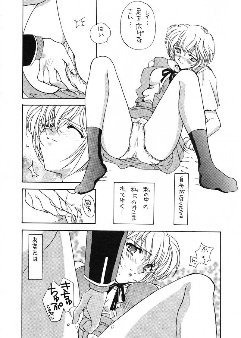 愛と井野のアロメ
