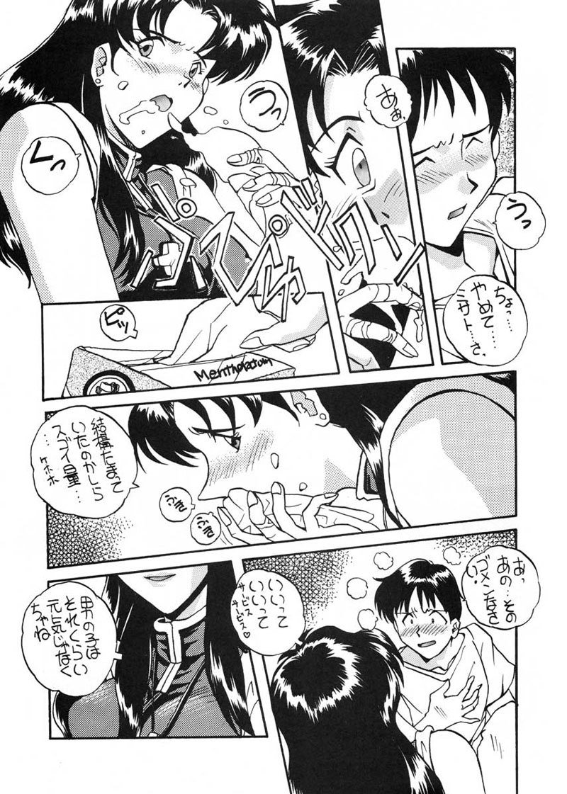 愛と井野のアロメ
