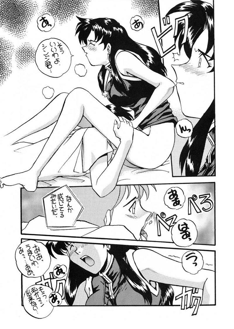 愛と井野のアロメ