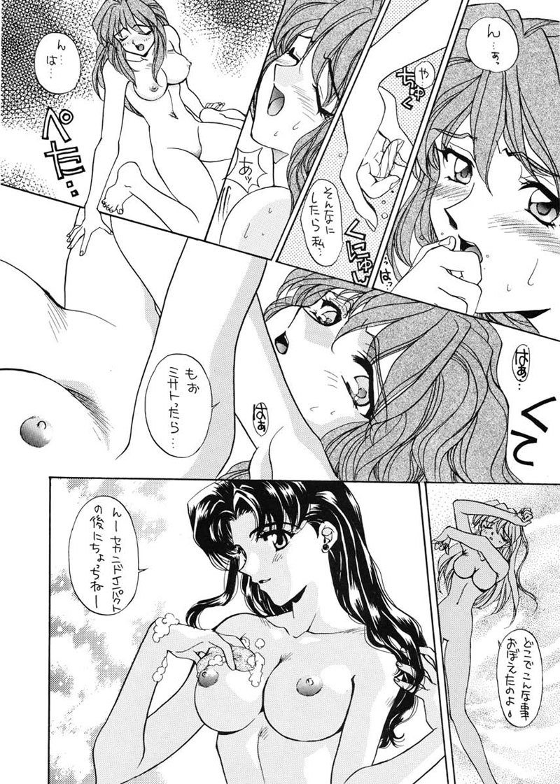 愛と井野のアロメ